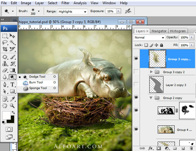 hippo, photoshop, nest, egg, shell, flying hippo, cute, baby, wings, hippopotamus, feathers